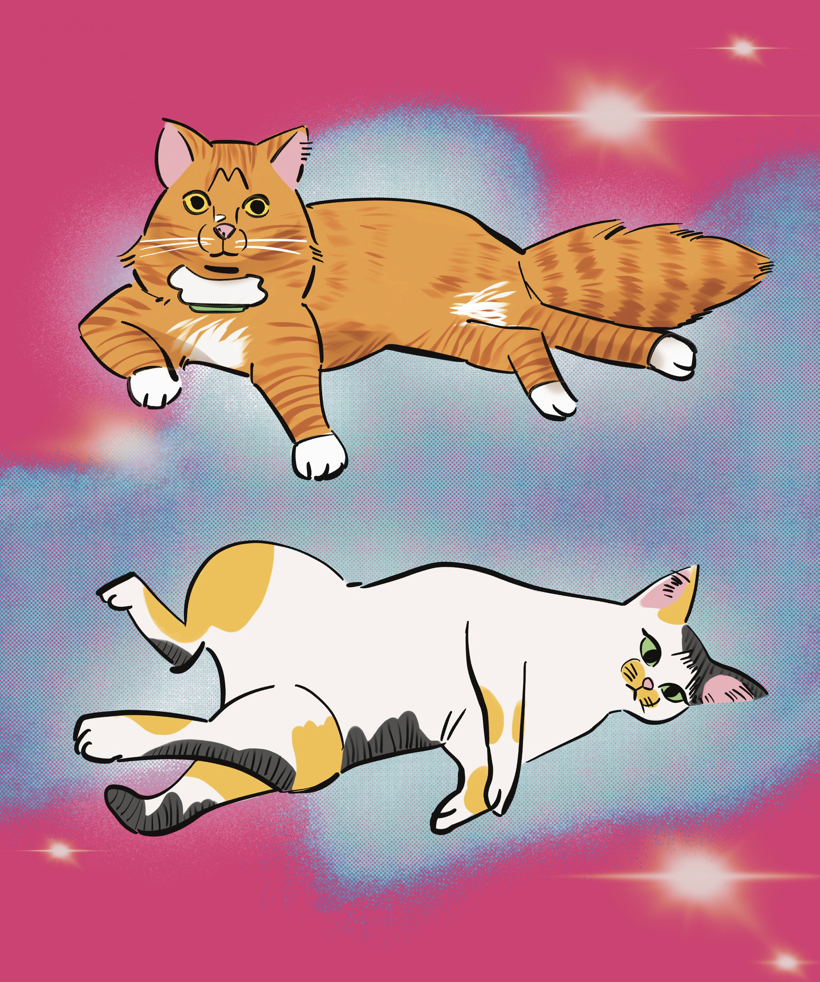 Illustration of two cats on a pink and blue background